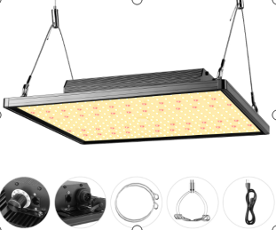 Plant Grow Light in Flower Pots