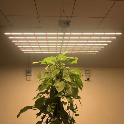 Led plant growth light for Aquarium