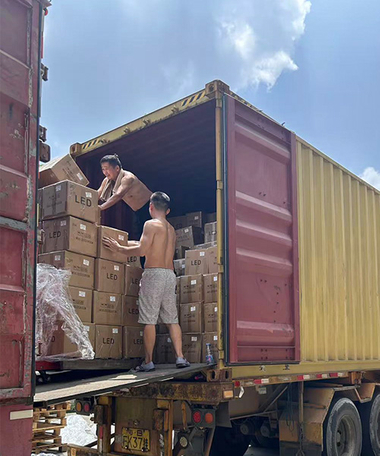 Wholesale & Distribution