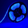 Dimmable SMD2835 Color LED Strip/Bar Light 5m Made in China