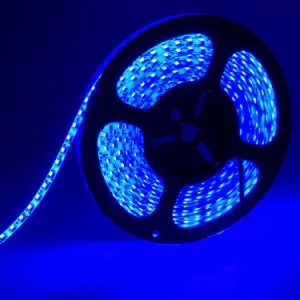 Dimmable SMD2835 Color LED Strip/Bar Light 5m Made in China