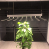 Plant Grow Light in Artificial Plant