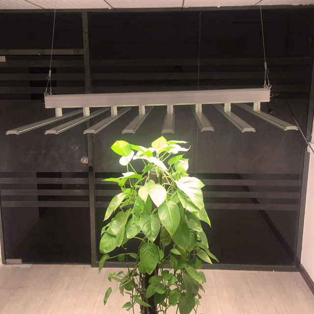 480w High Power Led plant growth light in Door